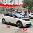 Suitable for 21-25 models of BYD Dolphin modified small bumper, front shovel, front lip, rear lip, side skirt appearance, sports kit
